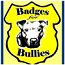 Badges for Bullies